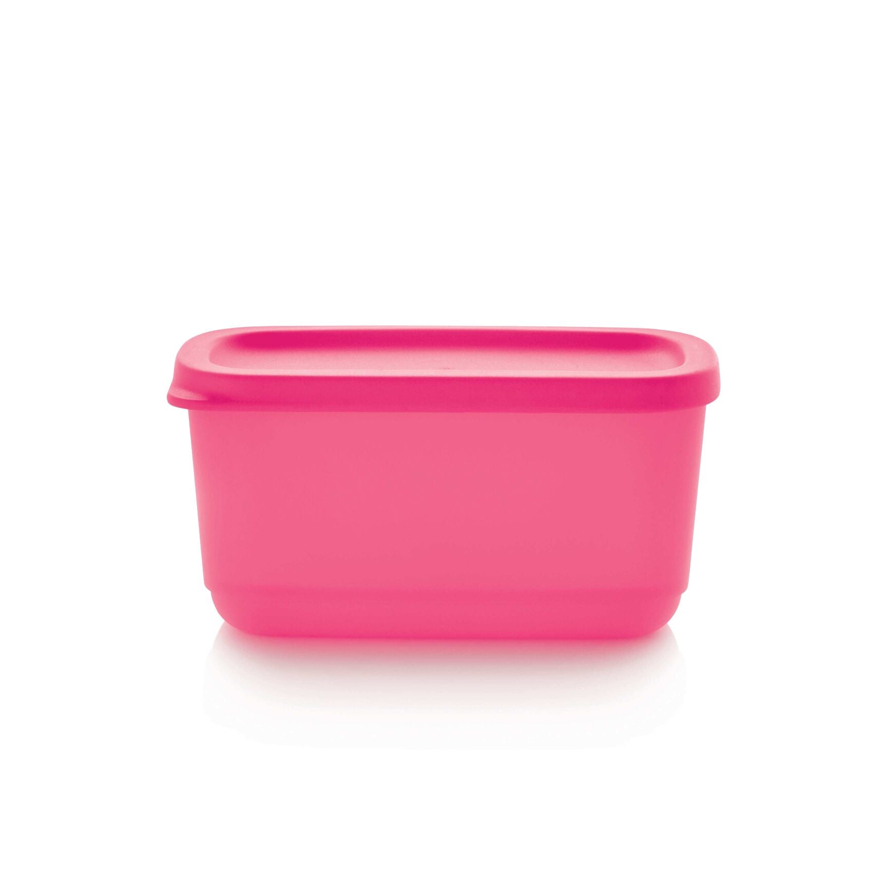 Mini Container 250 ml