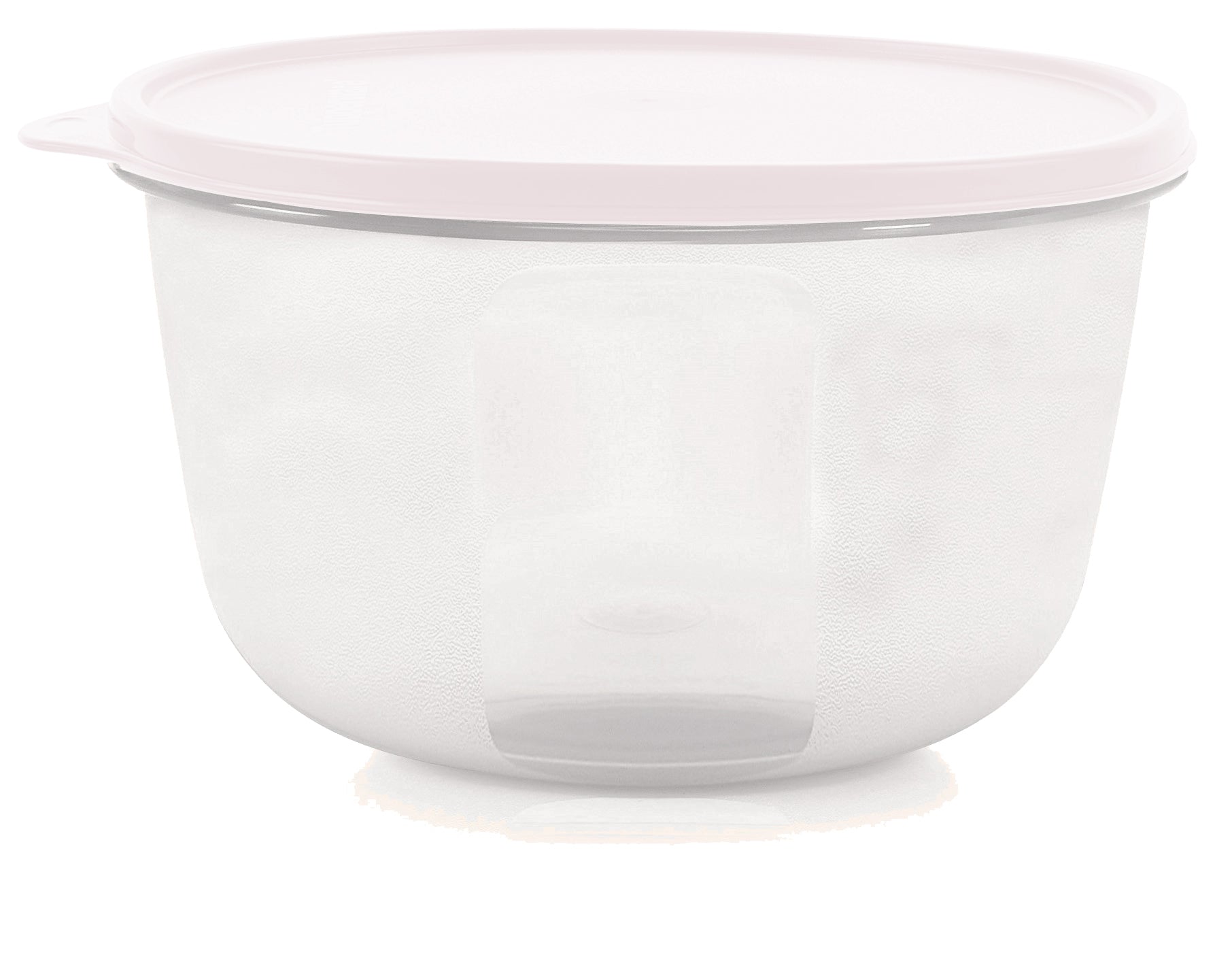 Fridge Bowl 2L