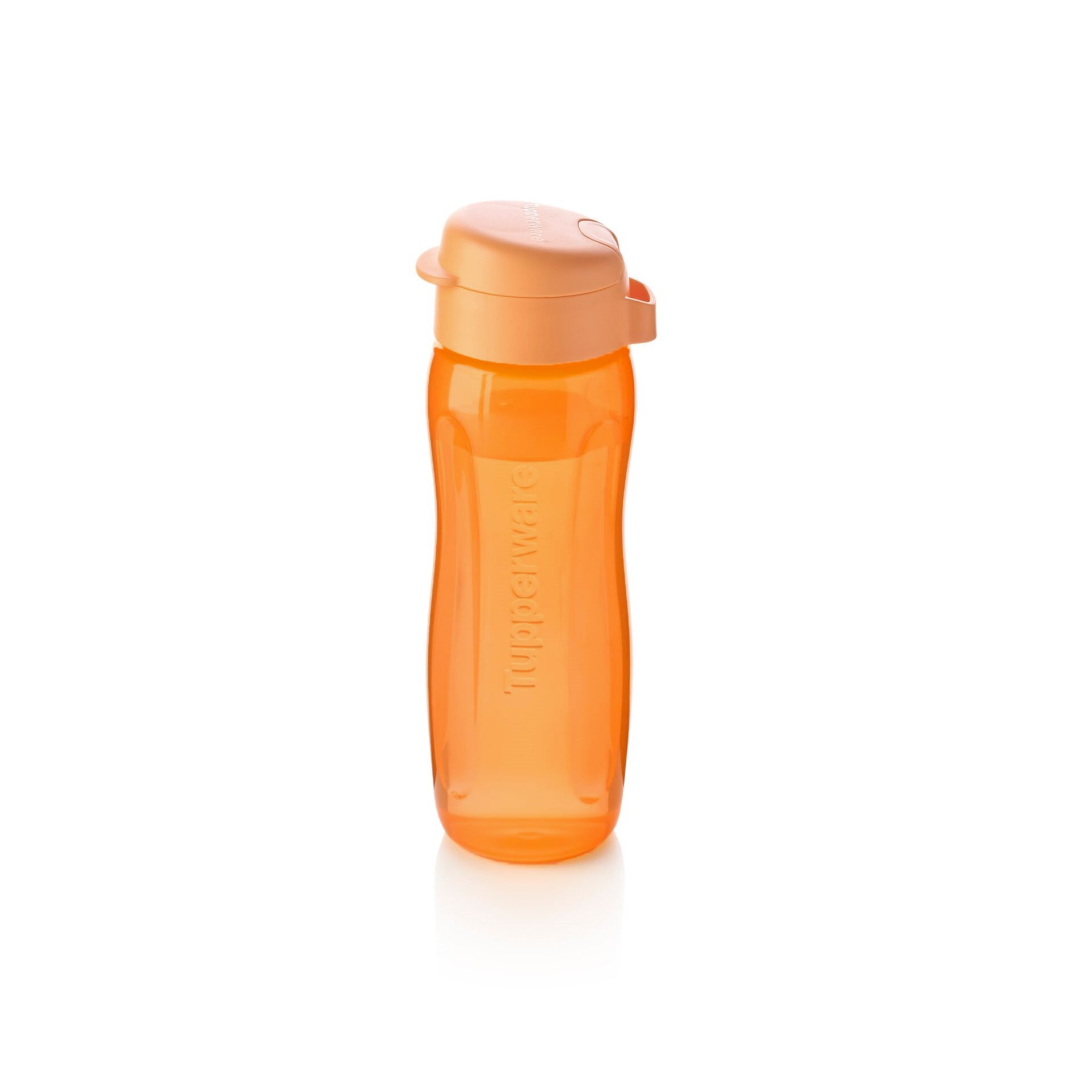 Eco+ Bottle 500 ml