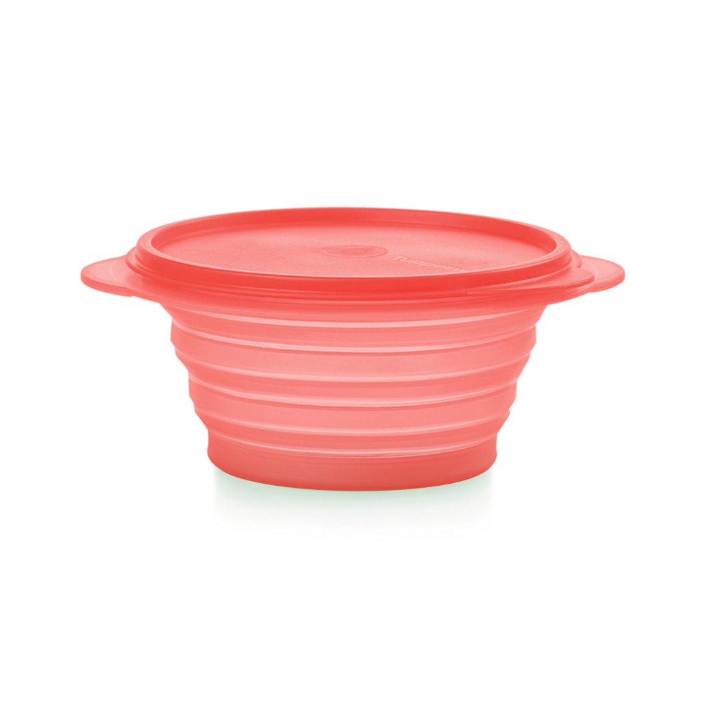 Mini Max Container 700 ml