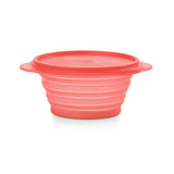 Mini Max Container 700 ml