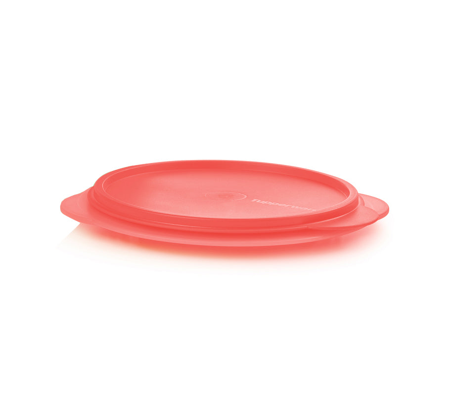 Mini Max Container 700 ml