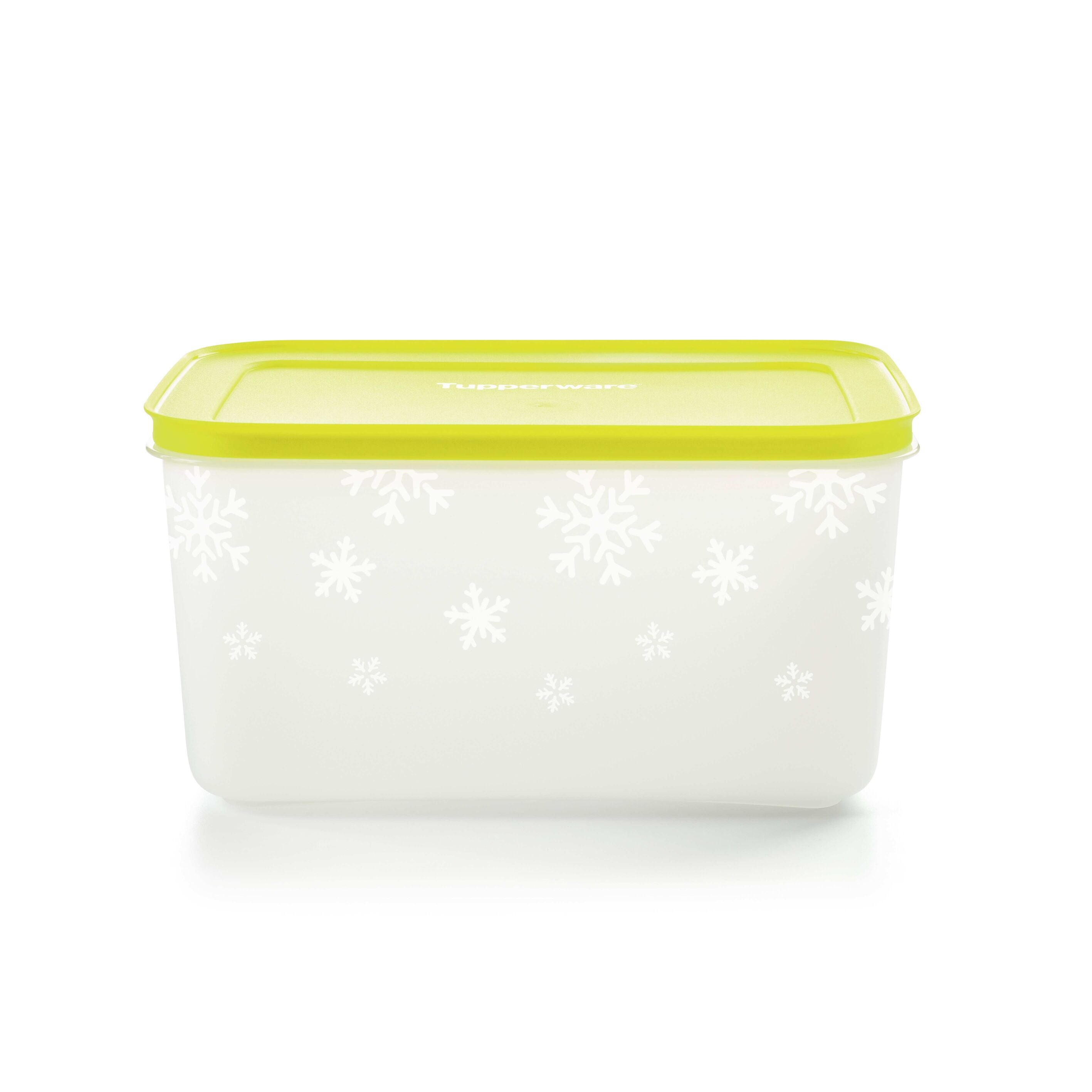 Freezer Container 2.5L