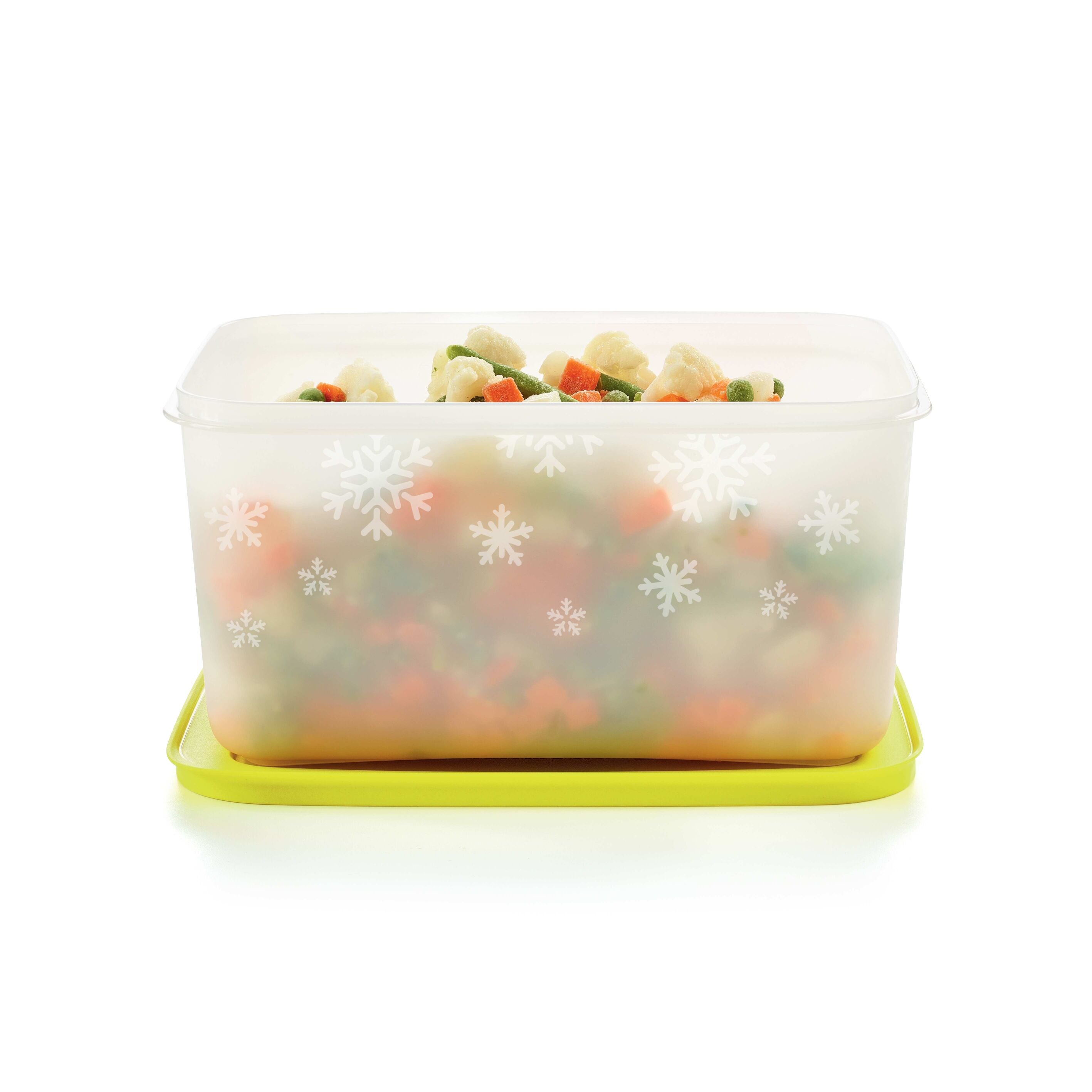 Freezer Container 2.5L