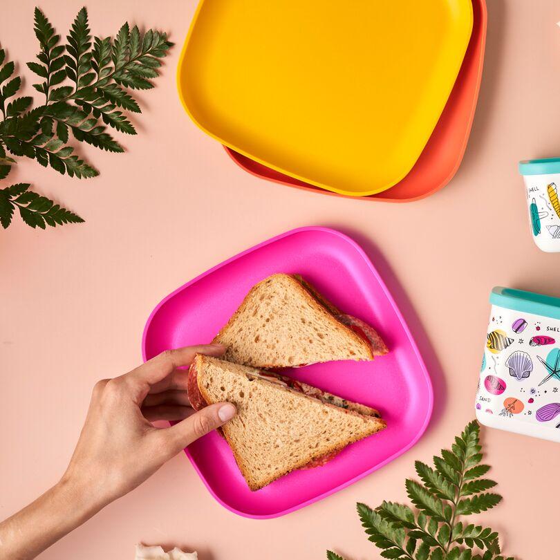 Eco+ Lunch Plates (4)