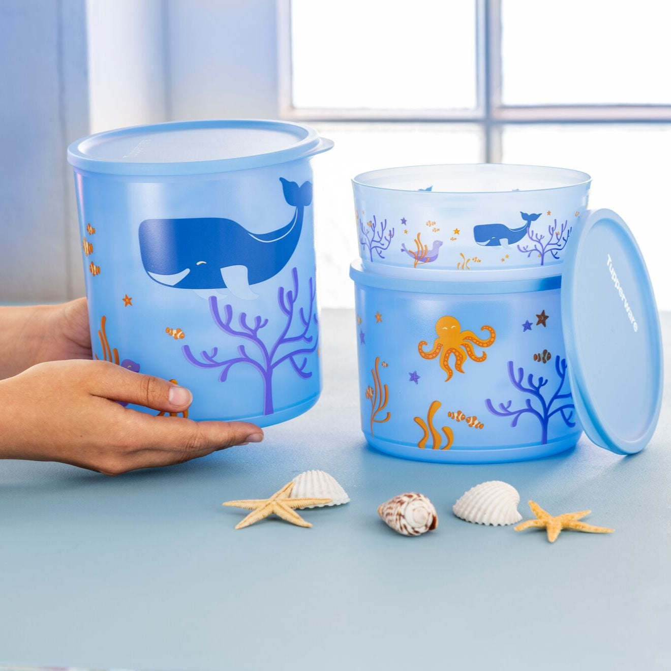 Summer Containers 950ml+ 3.3L