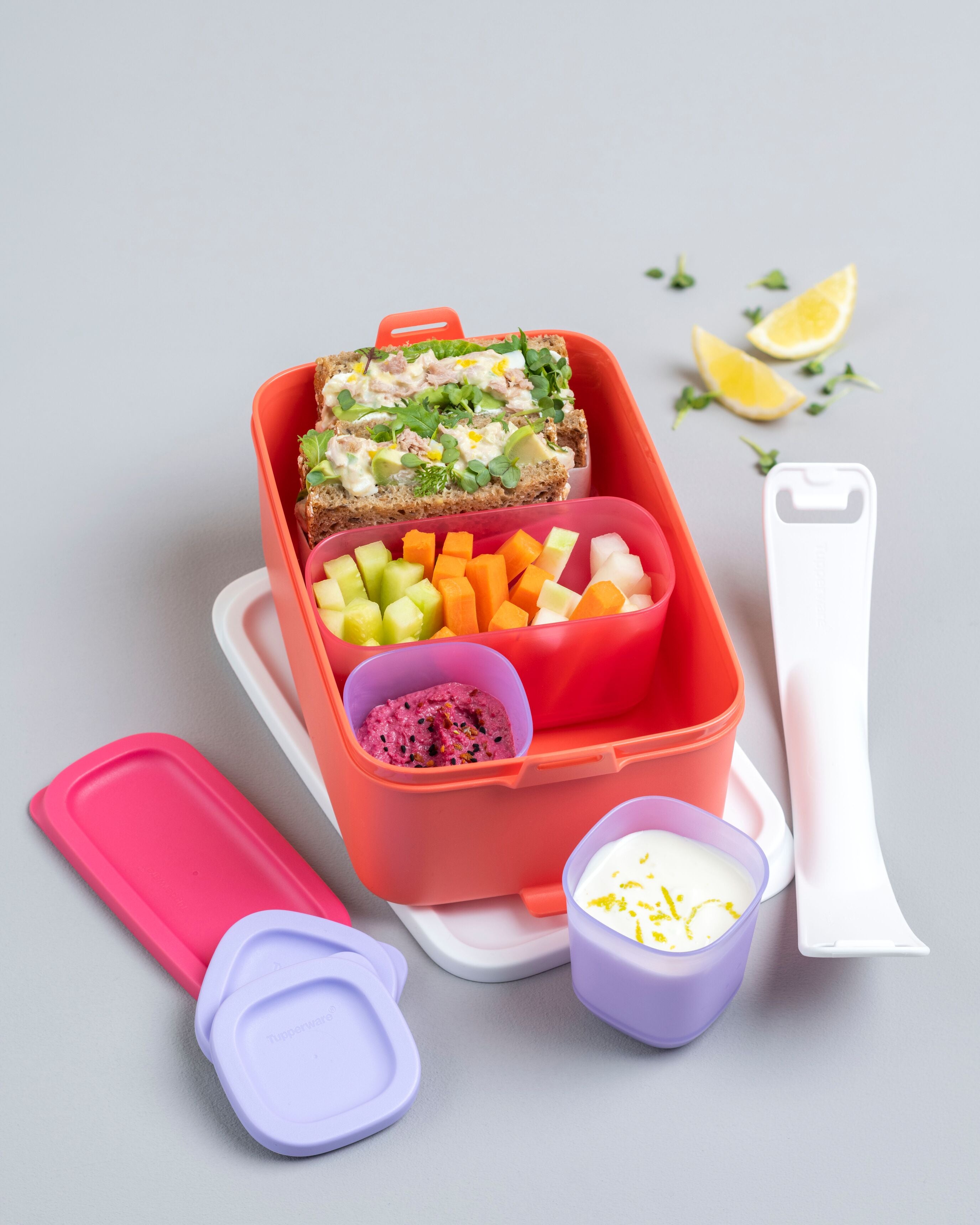 Mini Container 250 ml