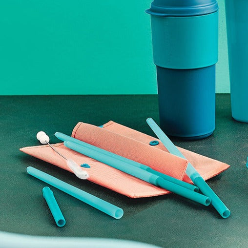 Straw Brush with Cover