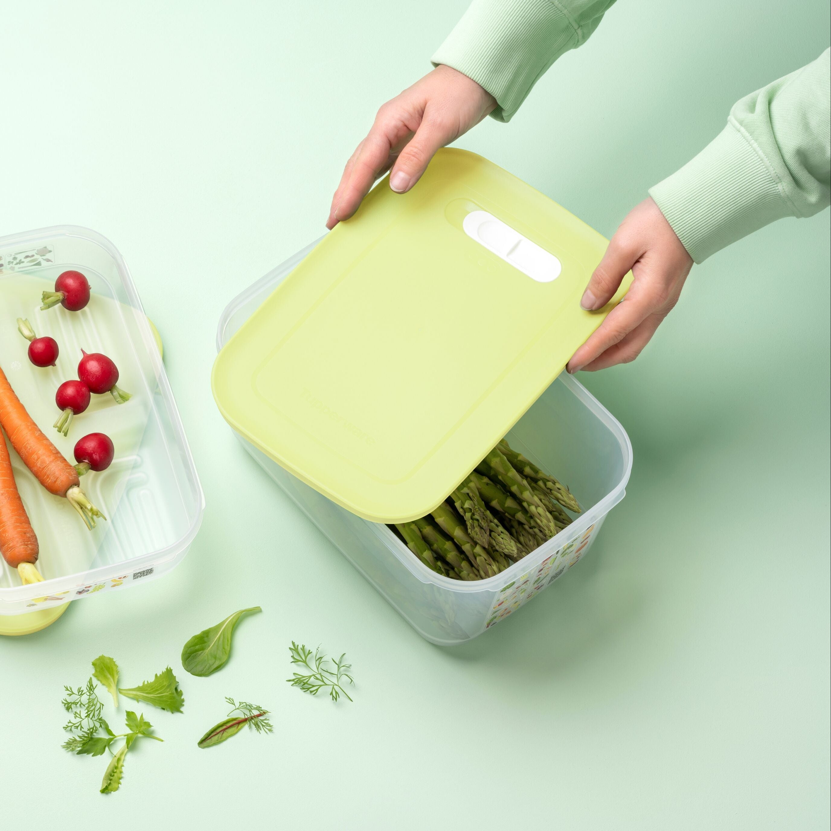 Veggie Keeper High 4.4L