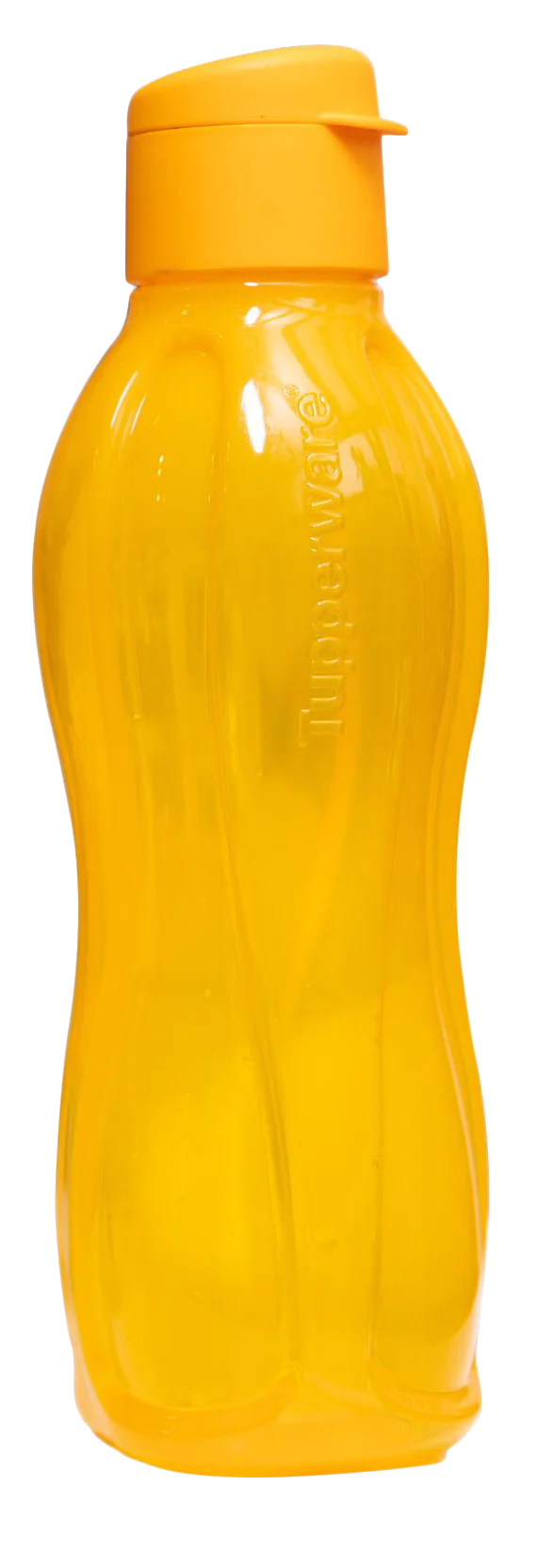 Eco+ Bottle 750 ml