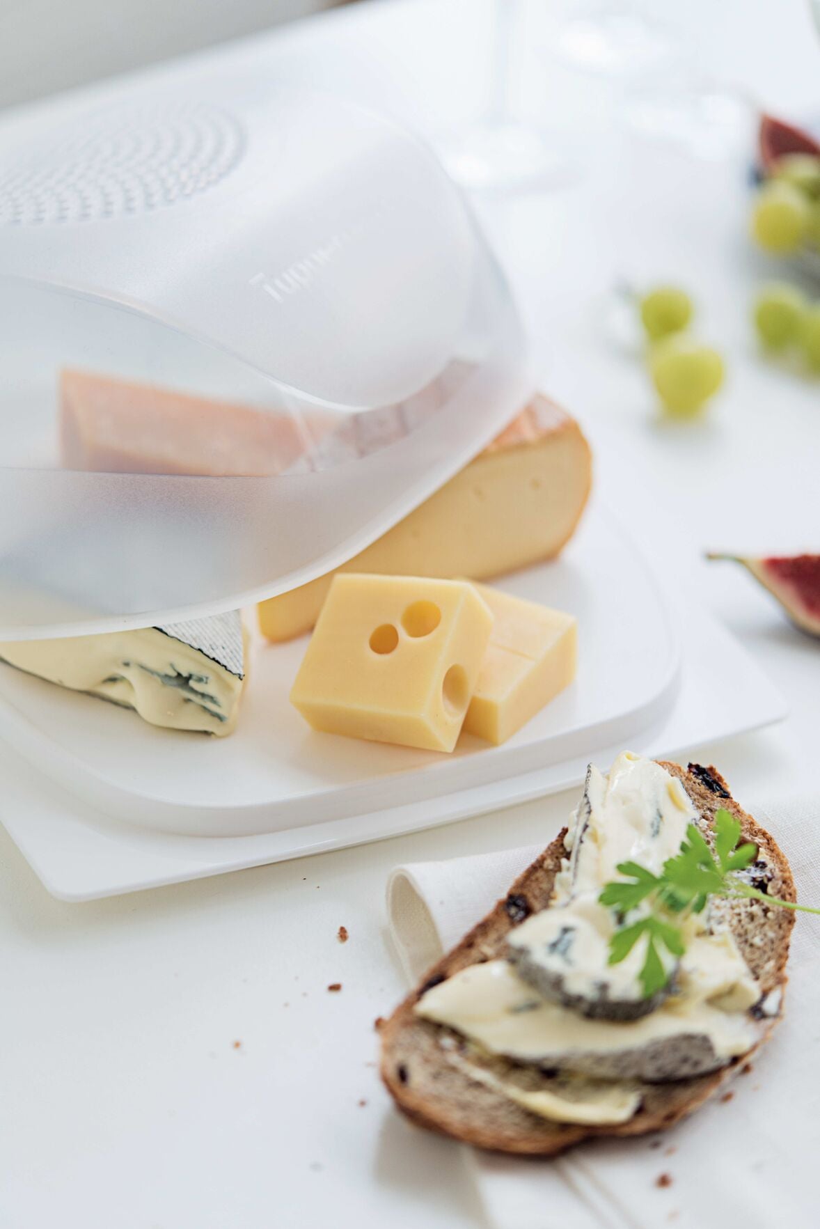 Square Cheese Keeper