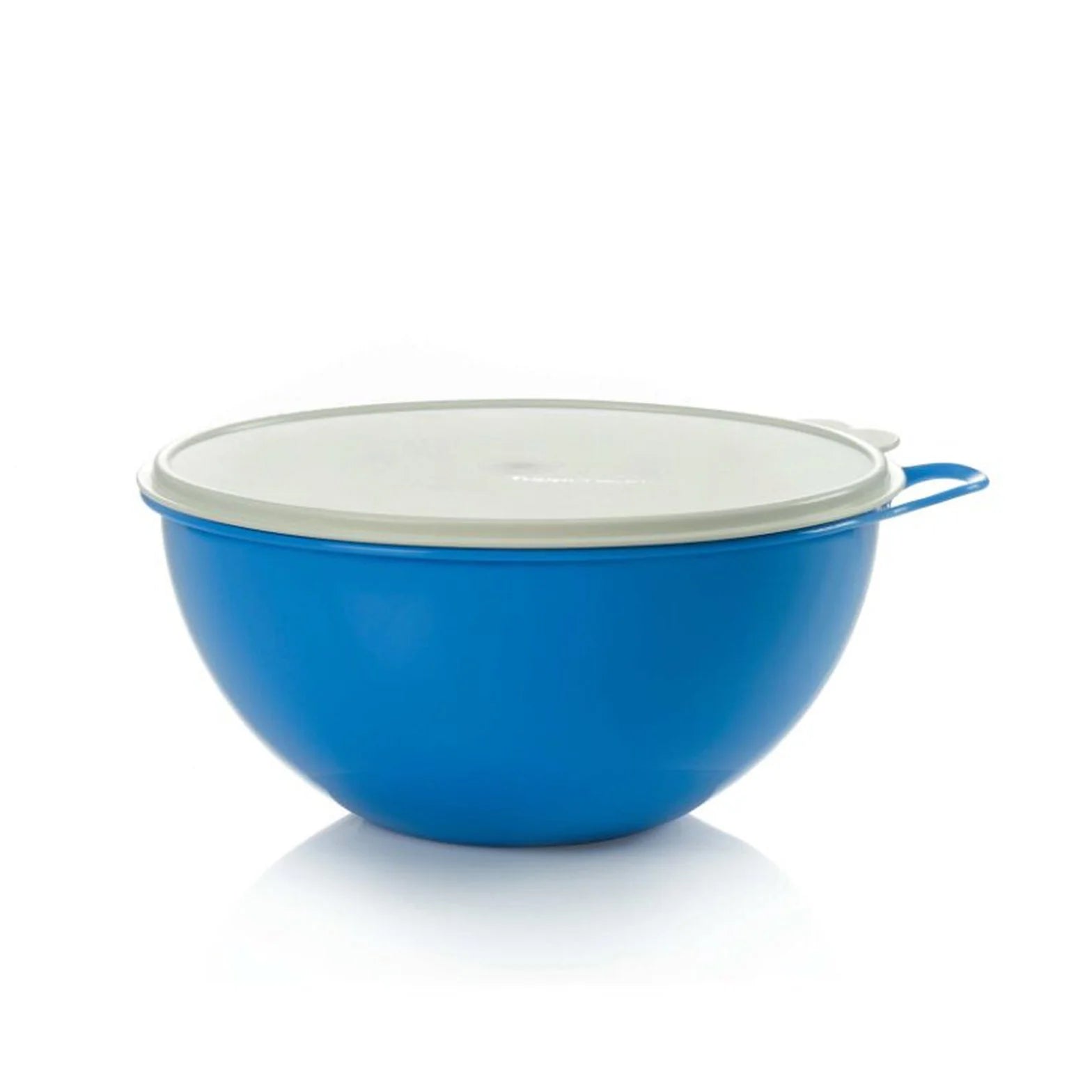 Bowl 4.5L