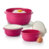 Baking Bowls 1L (2) + 3.5L