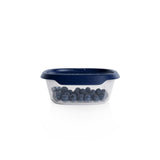 Dry Storage Sq. Container 220ml