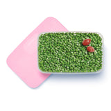 Slim Freezer Container 650ml