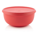 Bowl 4.3L