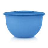 Expression Bowl 4.3L