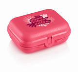 علبة متعددة الاستخدامات متوسطة
