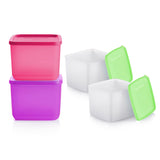 Set of Square Containers 1L(2)+840ml(2)