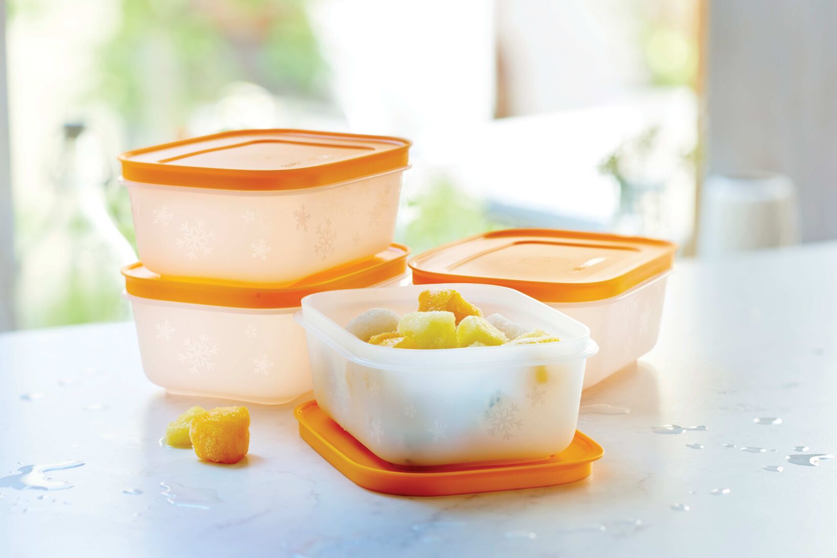 Set of Freezer Containers 450ml (8)
