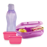 Work Healthy Meal (4)