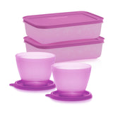 Freezer Container 1L (2) + Fridge Container 375 ml (2)