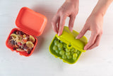 Eco+ Container Small