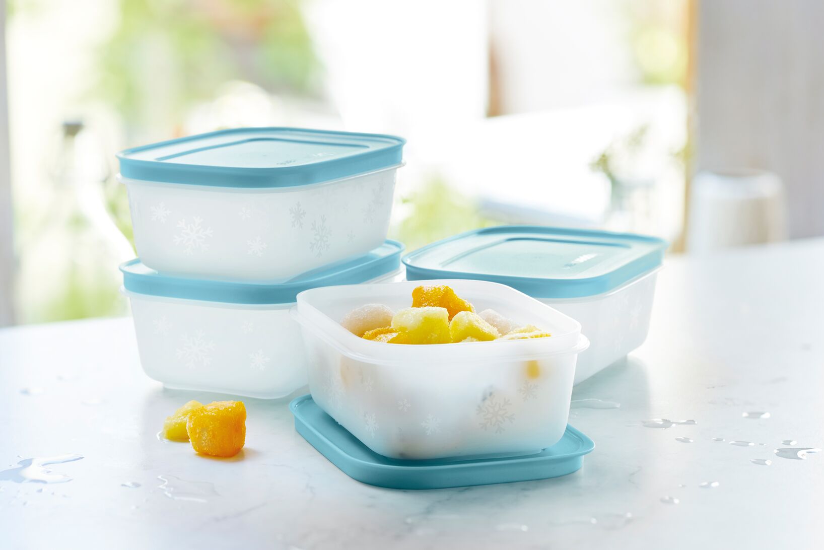 Set of Freezer Containers 450 ml (2)