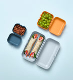 Containers Set (3)