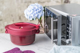 Micro Pressure Cooker