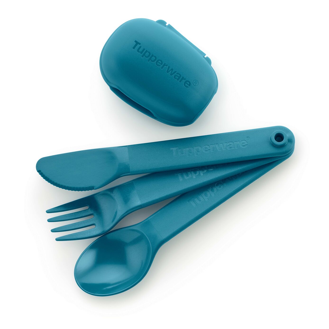 CUTLERY SET WITH CASE