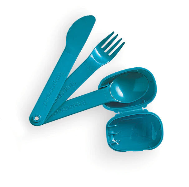 CUTLERY SET WITH CASE